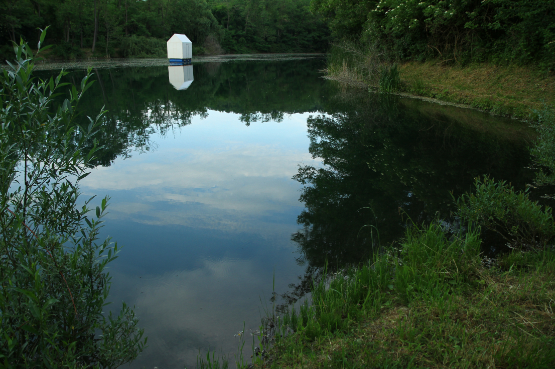 Fotó: Selényi Zoltán