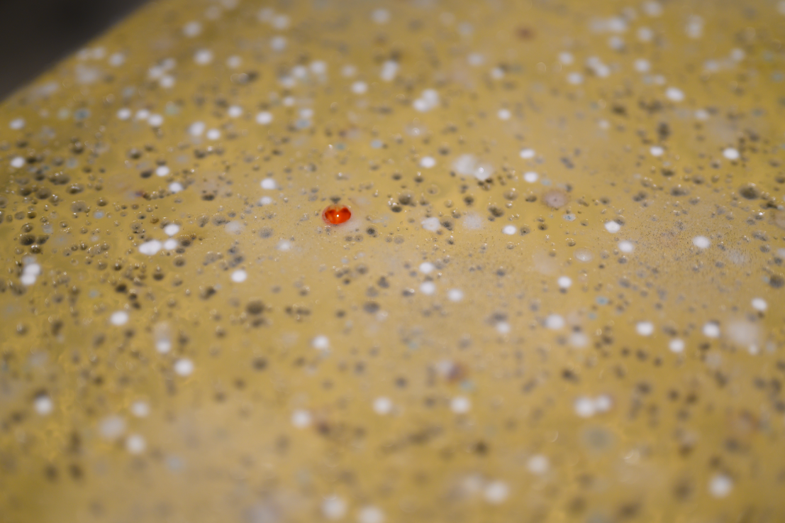 Fotó: SZABÓ Zsófia © Ludwig Múzeum – Kortárs Művészeti Múzeum  //  Photo: Zsófia SZABÓ © Ludwig Museum – Museum of Contemporary Art