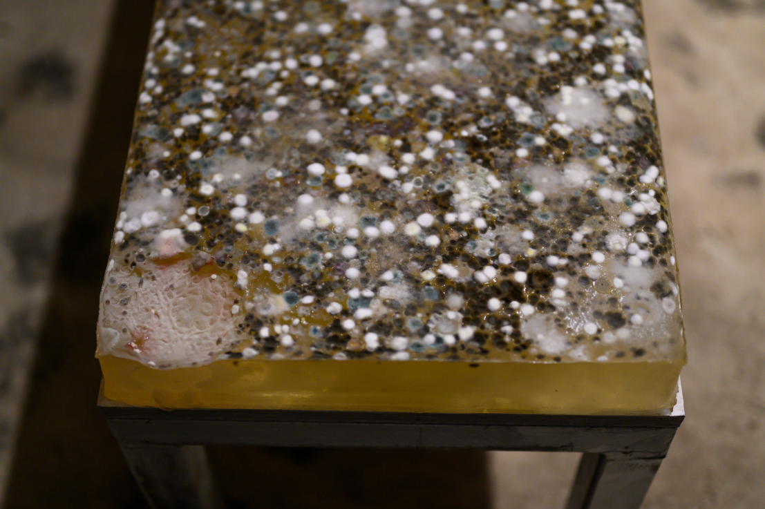 Fotó: SZABÓ Zsófia © Ludwig Múzeum – Kortárs Művészeti Múzeum  //  Photo: Zsófia SZABÓ © Ludwig Museum – Museum of Contemporary Art