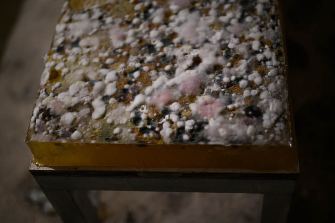 Fotó: SZABÓ Zsófia © Ludwig Múzeum – Kortárs Művészeti Múzeum  //  Photo: Zsófia SZABÓ © Ludwig Museum – Museum of Contemporary Art